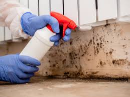 Best Forensic Mold Investigation  in Lumberton, NC